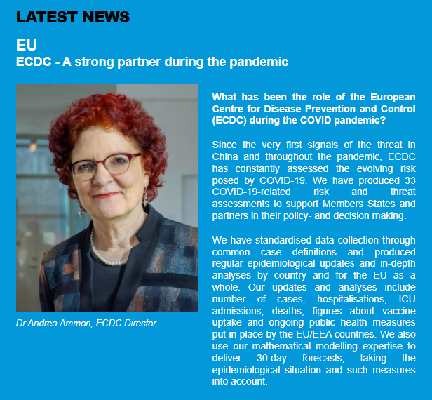 Our November Newsletter is online!