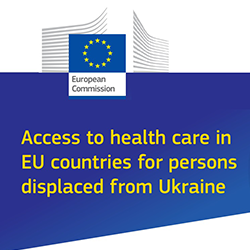 Factsheet release on Temporary Protection Directive