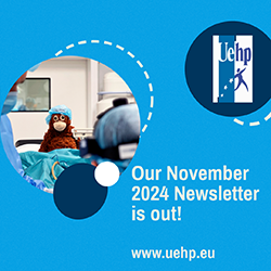 Our November Newsletter is online!